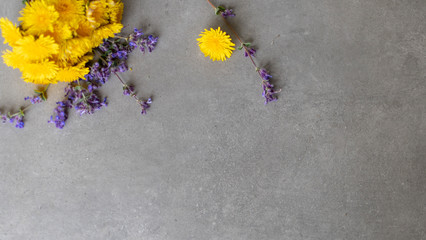 Żółte i fioletowe kwiaty polne na betonowym tle z miejscem na opis