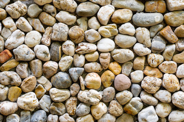 Horizontal color image with a front view of a texture of a wall made of sea stones