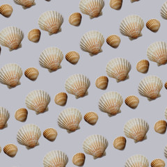 Seashell pattern. Texture with shells on a gray background.