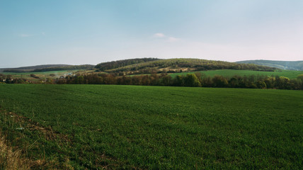 Fototapeta na wymiar sunny green field with hills and blue sky