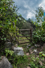 puerta 
