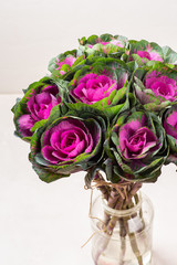 Brassica decorative cabbage for floristry in a bouquet on a light background.