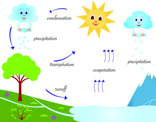 Water Cycle Educational Illustration, Water Cycle Vector Illustration