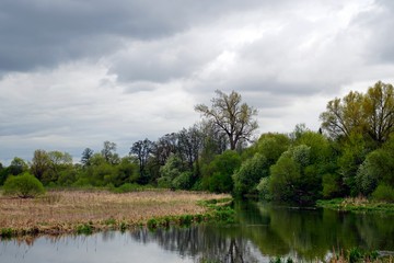 Fototapeta na wymiar Svisloch River in the city of Minsk. Loshitsky park. Belarusian landscape. Spring. may month