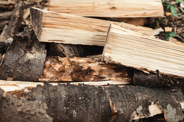 The cut logs are stacked. Background image.