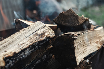 Logs make a fire. Bonfire smoke