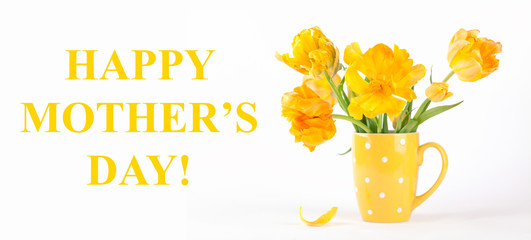 Beautiful yellow tulips in a tea cap on a white background. Isolate. Concept Mother's Day. Holiday gift. Banner