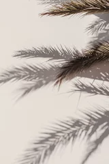 Palmblatt schöne Schatten an der Wand. Kreatives, minimalistisches, helles und luftiges Konzept. © Pixasquare