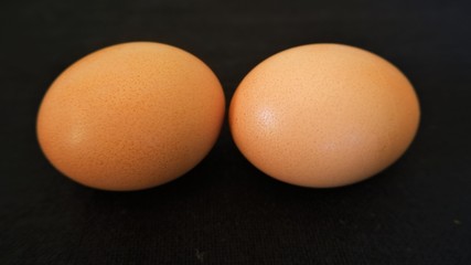fresh green egg in black background