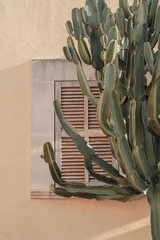 Wall murals Melon Cactus plant beautiful shadows on the wall. Creative, minimal, bright and airy styled concept.