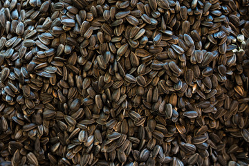 harvest Sunflower seeds in the store