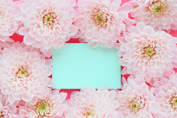 Obraz premium .Blue sticker on a pink background and pink chrysanthemum flowers. Space for text..