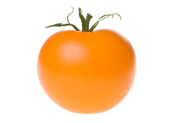 Fresh ripe orange tomato with green stem, isolated on white background. Studio shot