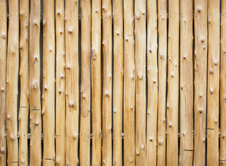 Wood grain wall pattern. Cut timber or logs backgrounds and textures.