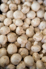 fresh champignon mushrooms in the store