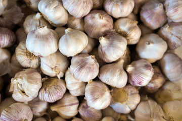 a bunch of fragrant garlic in the store