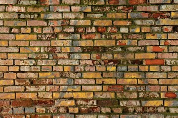 Brickwork of different colors with traces of mold.
