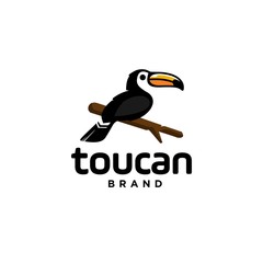 toucan tropical bird on a branch logo icon vector template in colorful flat line outline style illustration