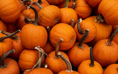 Pumpkins