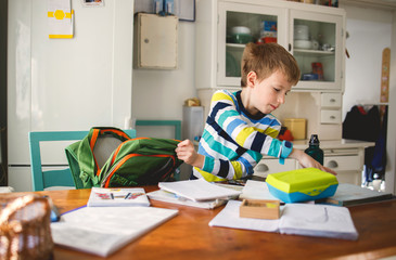 Young Boy learning at Home	
