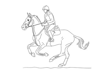Fototapeta na wymiar Girl rider on a horse makes a quick gallop