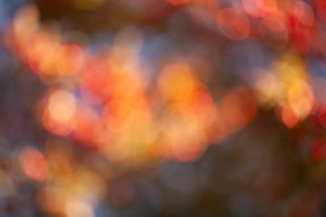 Blur autumn leaves for background, abstract bokeh backdrop for your design 
