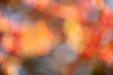 Blur autumn leaves for background, abstract bokeh backdrop for your design 