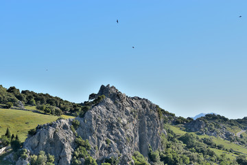 Fototapeta premium paisaje de montaña rocosas con rapaces en el cielo Grazalema Andalucía España 