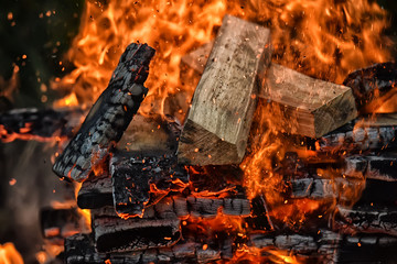 torture woodpile with firewood