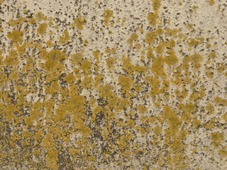 texture, brick, stand, facade, interior, design, tile