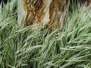 texture, brick, stand, facade, interior, design, tile