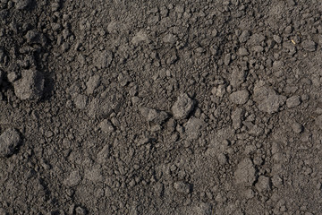 Close-up of organic soil, as background. Texture of soil.