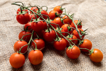 Tomates cherry sanos y frescos