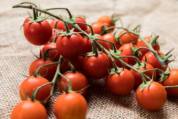 Tomates cherry sanos y frescos