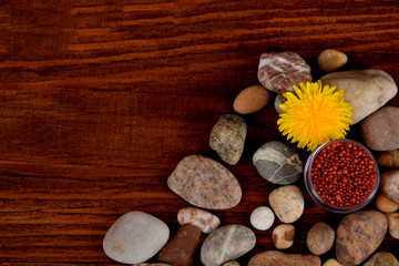 small bathing balls, field stones with a yellow dandelion flower with free space for text