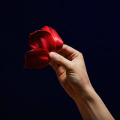 hand with red petals on dark blue background colourful