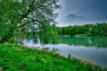 Fototapeta na wymiar The river within the green trees