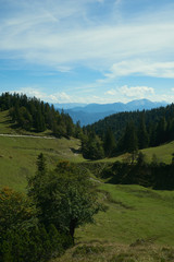 A view from the Forest at the Mountains