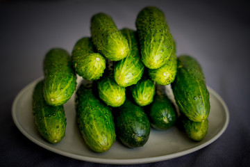 cucumber on a plate