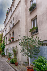 Fototapeta na wymiar Charming flower quarter with apartment building in Paris, Rue des Thermopyles, 14 arrondisement. France.