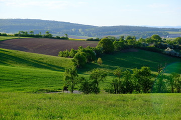 Fototapeta premium Landschaft