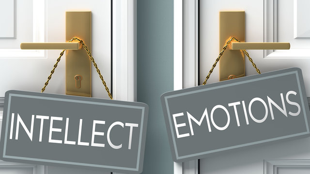 emotions or intellect as a choice in life - pictured as words intellect, emotions on doors to show that intellect and emotions are different options to choose from, 3d illustration