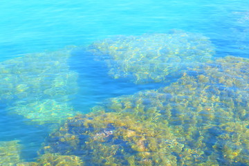 Fototapeta na wymiar Reefs in the sea
