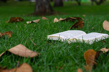Libro y naturaleza
