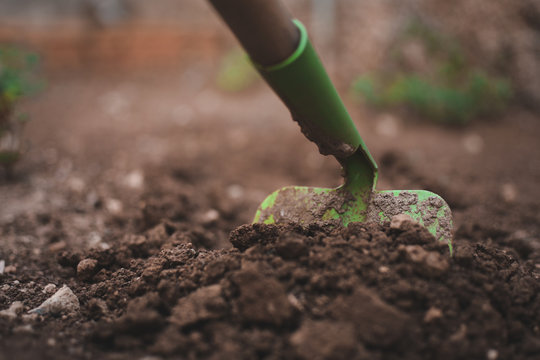 trabajo work herramientas jard&iacute;n tierra tool plantas verde marr&oacute;n agricultura huerta 
