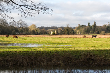 Waverley Abbey monastery ruins seen from a public footpath in Surrey Hills countryside near to...