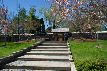 Sakura flowers in Japanese style house, Ontario, Canada