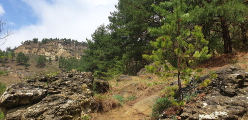 hillside mountain landscape
Ландшафт в горах на склоне