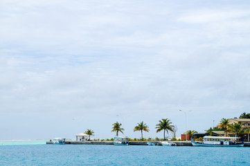 Obraz premium The pier on the exotic island with palms, The Maldives