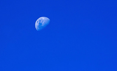 Midday Moon